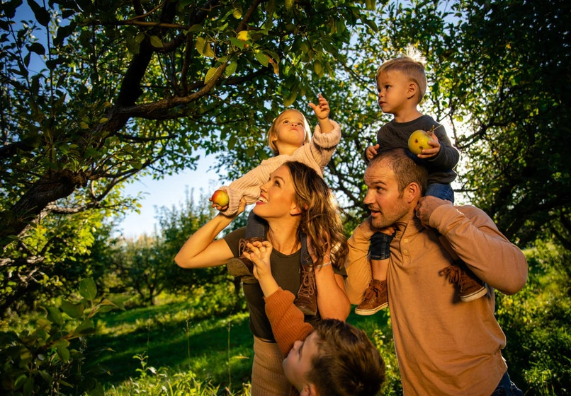 Family at an apple orchard