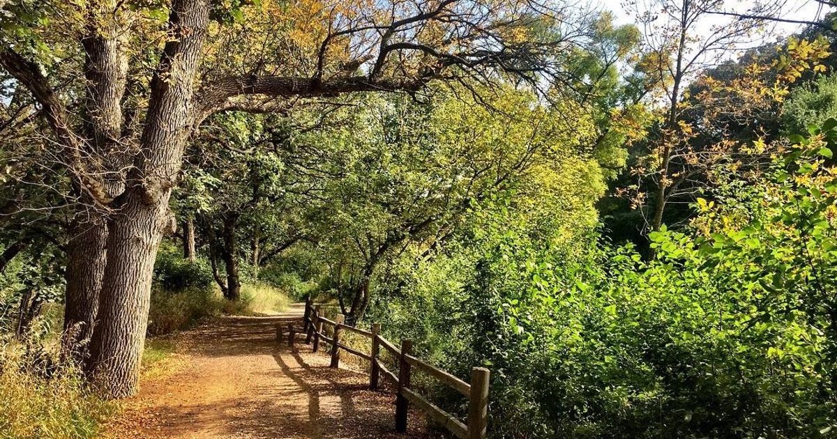 Great Bear Recreation Park