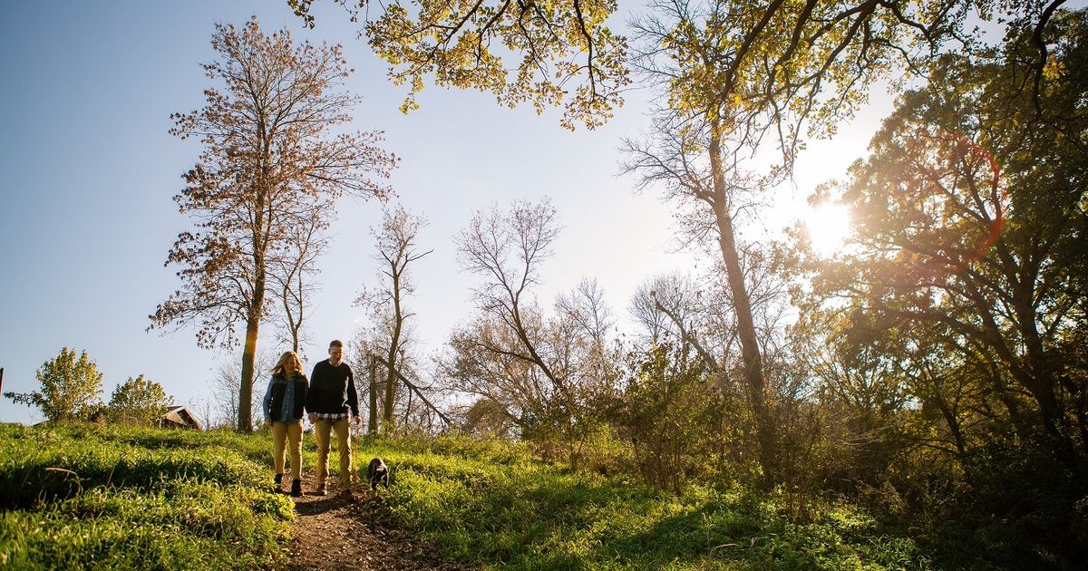 Mary Jo Wegner Arboretum