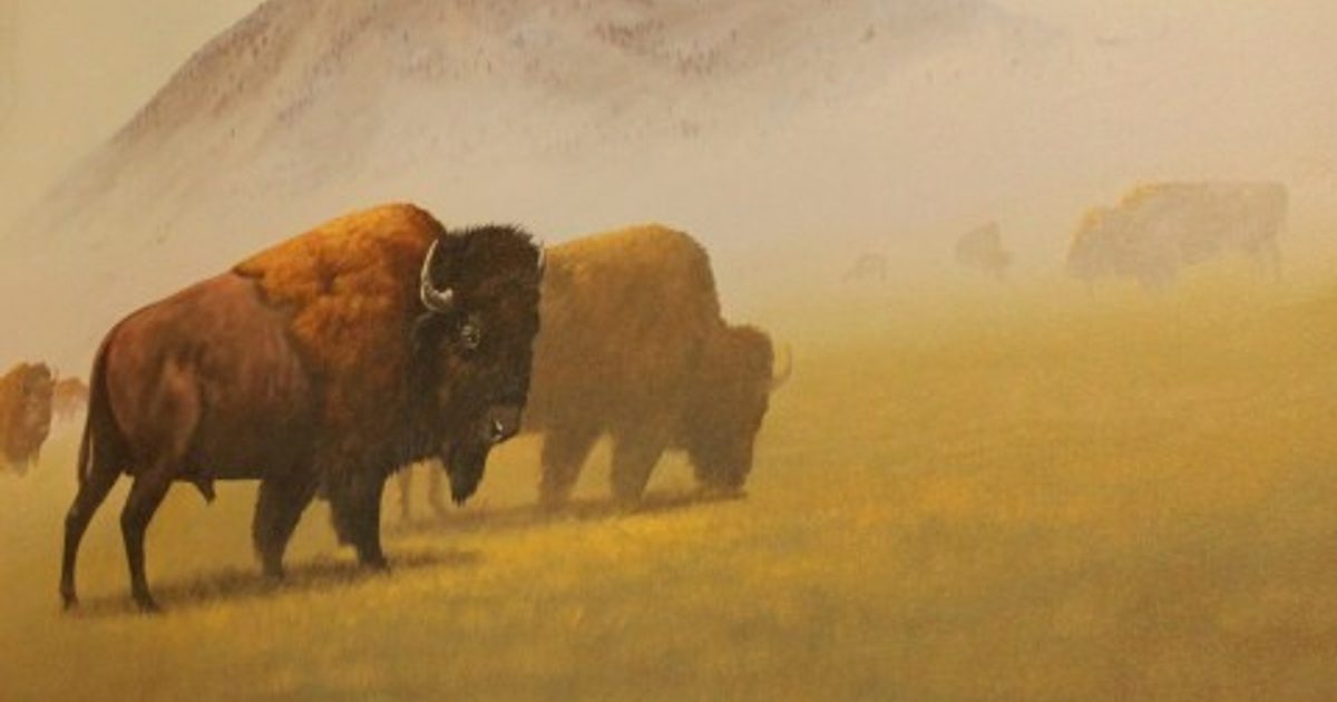 Sioux Falls Arts Council